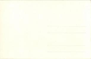 1928 Vienna, Wien; X. Deutsches Bundes Sängerfest, Festzug / 10th German Federal Song Festival - 27 ...