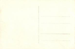 1928 Vienna, Wien; X. Deutsches Bundes Sängerfest, Festzug / 10th German Federal Song Festival - 27 ...