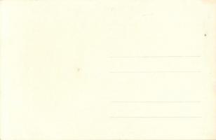 1928 Vienna, Wien; X. Deutsches Bundes Sängerfest, Festzug / 10th German Federal Song Festival - 27 ...