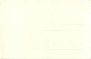 1928 Vienna, Wien; X. Deutsches Bundes Sängerfest, Festzug / 10th German Federal Song Festival - 27 ...