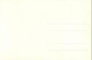 1928 Vienna, Wien; X. Deutsches Bundes Sängerfest, Festzug / 10th German Federal Song Festival - 27 ...