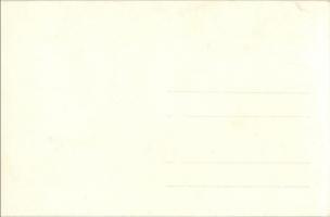 1928 Vienna, Wien; X. Deutsches Bundes Sängerfest, Festzug / 10th German Federal Song Festival - 27 ...