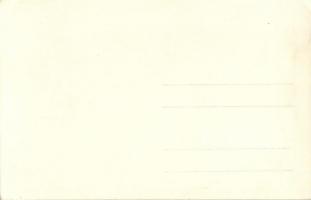 1928 Vienna, Wien; X. Deutsches Bundes Sängerfest, Festzug / 10th German Federal Song Festival - 27 ...