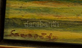 Szecsödy jelzéssel: Velence. Olaj, farost, keretben, 13×18 cm