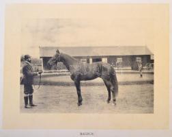 Das Goldene Buch des Renn-, Reit-, und Traber-sport. Szerk.: Alexander Duschnitz, Anton Prinz, Josep...