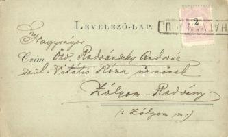 1899 Hatvan, Honvéd szobor, iskola, Városháza, Járási Bírói hivatal, Takarékpénztár és posta, floral...