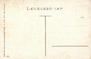 Marosvásárhely, Targu Mures; Kir. törvényszéki palota, utcakép / Forensic Palace, street view