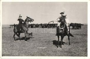 Hortobágy - 9 db RÉGI megíratlan képeslap a pusztai életről, csikósok, gulya / 9 pre-1945 unused pos...