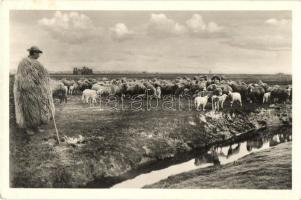 Hortobágy - 9 db RÉGI megíratlan képeslap a pusztai életről, csikósok, gulya / 9 pre-1945 unused pos...