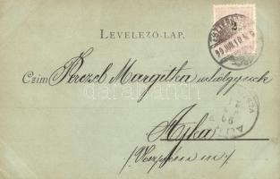 1899 Kovácspatak, Kovacov; látkép a Helemba-szigettel és a vasútállomással, este / island and railwa...