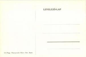 Mezőlaborc, Medzilaborce; látkép utcával / panorama view with street