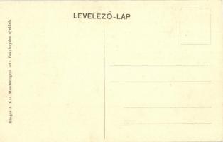 Újvidék, Neusatz, Novi Sad; Duna utca, Törvényház, villamosok. Singer J. Kir. Montenegrói udv. fényk...