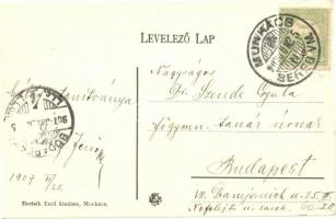 Munkács, Mukacheve, Mukacevo; Vár és Milleniumi emlékmű. Bertsik Emil kiadása / castle with monument...