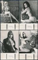 Akt fotónaptár, 12 db fotó, 14x9 cm / Nudes, 12 photos, 14x9 cm