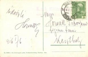 Cieszyn, Teschen; Schlossgasse, Engel Apotheke, K.k. Tabak-Trafik. Ed. Feitzinger No. 2040. / street...