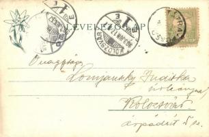 Tátra, Kis-Tarpatak, Téry menház az Öt-tónál, Feitzinger Ede 496. / Klein-Kohlbachthal / rest house ...