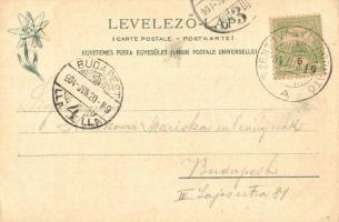 Tátra, Csorbai-tó, Auguszta főhercegnő nyaraló, Tivoli és Miklóslak. Feitzinger Ede 1a. / Csorbaer S...