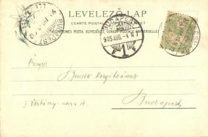 Tátra, Kis-Tarpatak, Óriás zuhatag. Feitzinger Ede 57. / Klein-Kohlbach, Riesensturz auf dem Treppch...