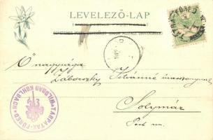 Tátra, Tarpataki-völgy és hidegfürdő. Feitzinger Ede 49. / Kohlbachthale, Wildbad / spa