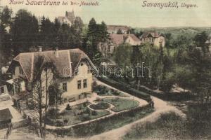 Savanyúkút, Sauerbrunn; villák. P. Ledermann / villas