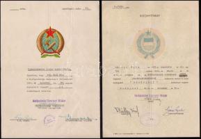 1956-1964 Szeszipari dolgozó bizonyítványai, oklevelei, 4 db