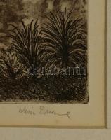 Weisz Zsuzsa (1925-): 'Etude 3. Rézkarc, papír, jelzett, üvegezett keretben, 27×30 cm