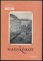 Ruisz Rezső: A nagykörút. Műemlékeink.  Bp., 1960, Képzőművészeti Alap. Kiadói papírkötés.