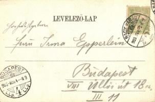 Nagyvárad, Oradea; Bémer tér híddal, színház, Kovács Ignác, Neumann M. és Varga János üzlete, hazai ...