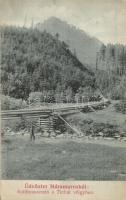 Turbát-völgy (Máramaros), Szálfacsúsztató. Wizner és Dávid kiadása / timber sliding transport, saw mill