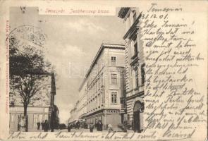 Temesvár, Timisoara; Jenő herceg utca, Hemann Henrik üzlete. Polatsek kiadása / street view with shops