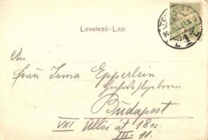 Temesvár, Timisoara; Jenő herceg utca, Hemann Henrik üzlete. Polatsek kiadása / street view with sho...