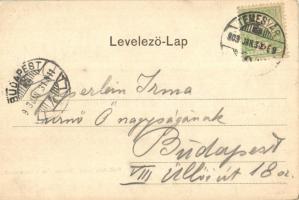 Temesvár, Timisoara; Gyárváros, Liget út villamossal. Uhrmann Henrik kiadása / street view with tram