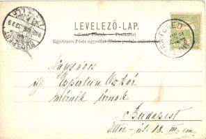 Tátralomnic, Tatranska Lomnica; látkép. Feitzinger Ede 351/b. / panorama view (kis szakadás / small ...