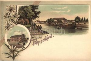 Pancsova, Pancevo; Temespart, Gőzmalom. Kohn Samu kiadása / river bank, steam mill. Floral, Art Nouveau, litho
