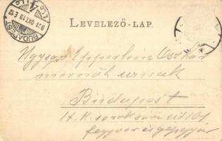 Arad, Maros part. Römmler & Jonas / river bank (Rb)