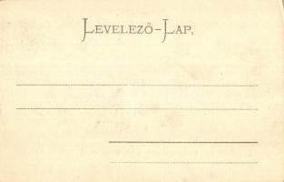 Marosvásárhely, Targu Mures; Kossuth utca, Katolikus főgimnázium. Dudutz István és Ferenc, Henning K...