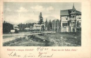 Tátraszéplak, Tatranska Polianka, Westerheim; utcakép nyaralókkal. Divald Károly 324. / street view with villas