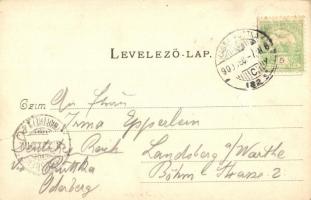 Tátraszéplak, Tatranska Polianka, Westerheim; utcakép nyaralókkal. Divald Károly 324. / street view ...