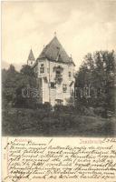 28 db RÉGI magyar és külföldi városképes lap, főleg horvát, osztrák, lengyel, néhány magyar, köztük ...