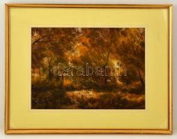 Nemes Tibor (1955- ): Őszi erdő részlet, vegyes technika, papír, jelzett, paszpartuban, üvegezett fa keretben, 31,5×44,5 cm