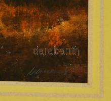 Nemes Tibor (1955- ): Őszi erdő részlet, vegyes technika, papír, jelzett, paszpartuban, üvegezett fa...