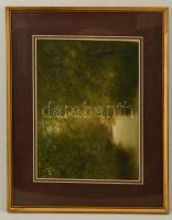 Nemes Tibor (1955- ): Erdei patak, vegyes technika, papír, jelzett, paszpartuban, üvegezett fa keretben, 31,5×44,5 cm