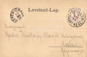 1899 Bonyhád, Fő utca és tér, Központi szálloda,Perczel Mór háza, látkép. Art Nouveau floral