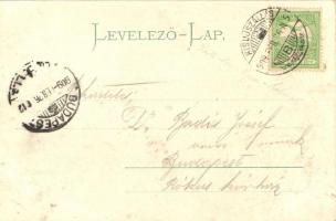 Kisújszállás, Református főgimnázium. Witz Márton kiadása. montázslap