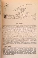 Magyar Elek: Az ínyesmester nagy szakácskönyve. (Budapest, 1955, Műszaki Könyvkiadó.) Kiadói illuszt...