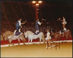 1978 a Fővárosi Nagycirkusz Dunai csoportjának fellépése, fotó, hátulján feliratozva, 20×25,5 cm