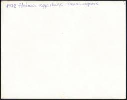 1978 a Fővárosi Nagycirkusz Dunai csoportjának fellépése, fotó, hátulján feliratozva, 20×25,5 cm
