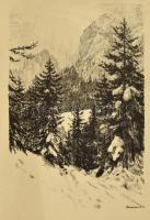 Lénárd Lévi Róbert (1879-1936): Alpesi napsütés, litográfia, papír, jelzett, 34×23 cm