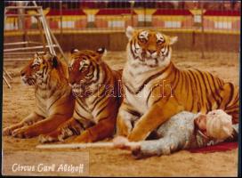 Tigrisek, Circus Carl Althoff, nagyméretű fotó, hátlapján Otto Mark, a cirkusz sajtófelelősének aláírásával, 22×29 cm /  Tigers of the Circus Carl Althoff, photograph, with the signature of Otto Mark, Chief Press Officer of the Circus on its back, 22×29 cm