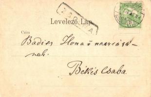 Zsolna, Zilina; Budatini vár, híd. Verlag C. Schröter / castle, bridge